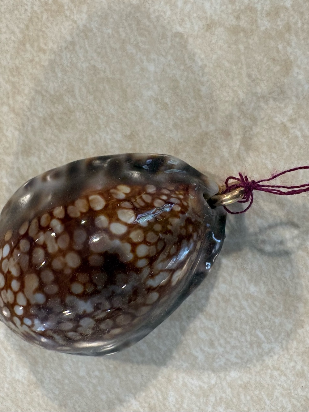 Seashell Necklace ~ Polished Brown & Cream Cowrie Shell Pendant